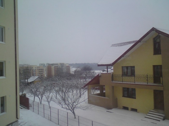 DSC01164 - Iarna