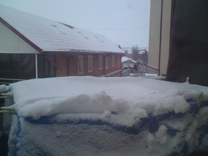 DSC01165 - Iarna