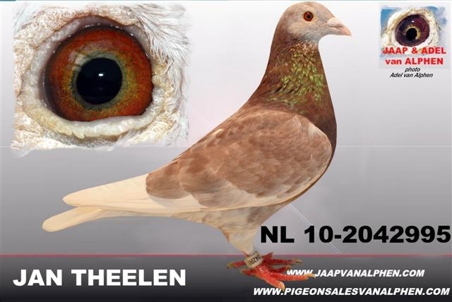 1319376457-995 - Jan Theelen