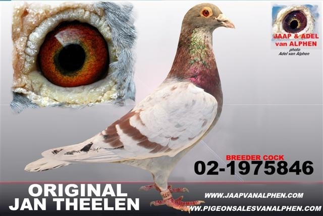 1319374885-846 - Jan Theelen