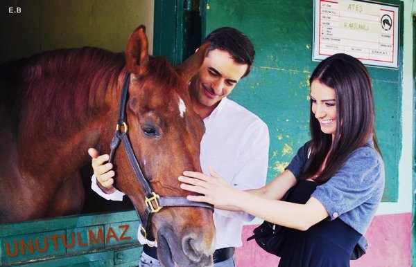 154127_112566532147013_110872212316445_61098_7790519_n