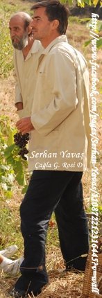 179867_126823580721308_110872212316445_139532_6539369_n - Serhan Yavas
