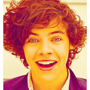 :xxxxxx - Love Harry Styles