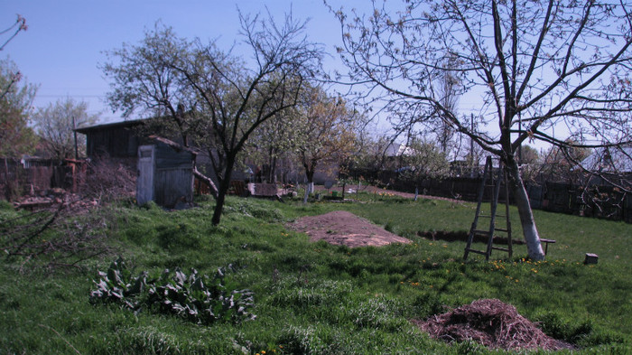 vedere a curtii din spate stanga - La noi la tara