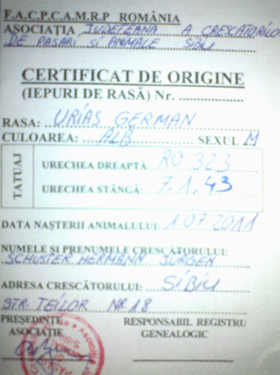 Certificatul de origine - 24 Mascul RO 323 7 1 43