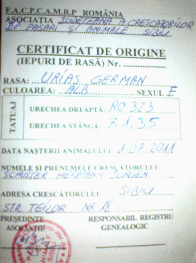 Certificatul de origine - 22 Femela RO 323 7 1 35