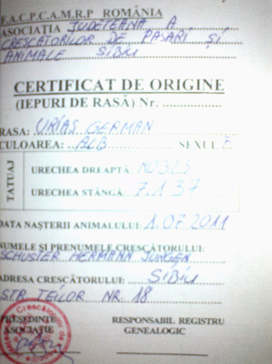 Certificatul de origine - 23 Femela RO 323 7 1 37