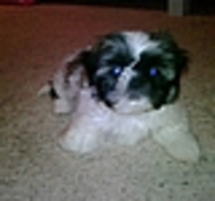 thumb_175 - Demilu - Personal Photos oo1