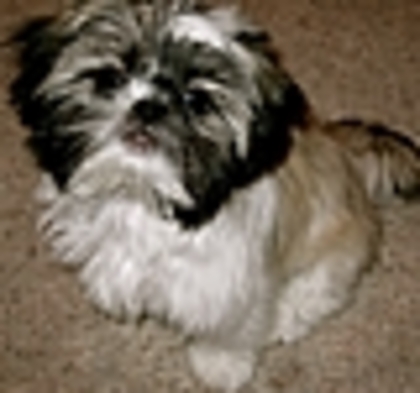 thumb_198 - Demilu - Personal Photos oo1