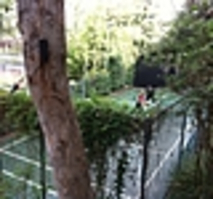 thumb_578 - Demilu - Personal Photos oo2