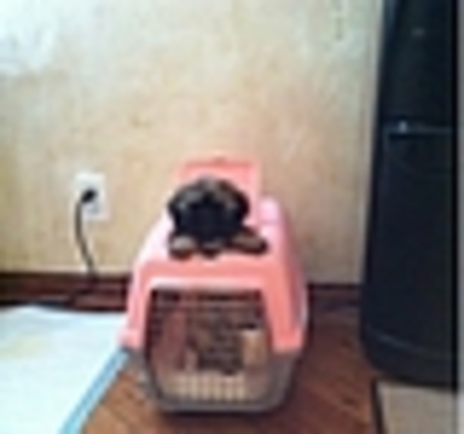 thumb_638 - Demilu - Personal Photos oo2