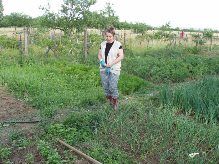 Tg Jiu 2009  iunie gradina Esterei a; Estera si gradina nostra din Tg Jiu 2009 - un an binecuvantat, cu multa recolta, de Dumnezeu!
