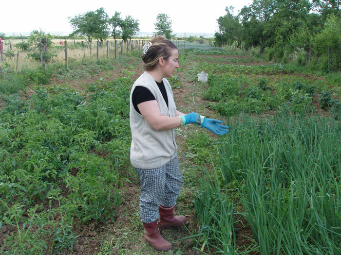 Tg Jiu 2009  iunie gradina Esterei b; Estera si gradina nostra din Tg Jiu 2009 - un an binecuvantat, cu multa recolta, de Dumnezeu!
