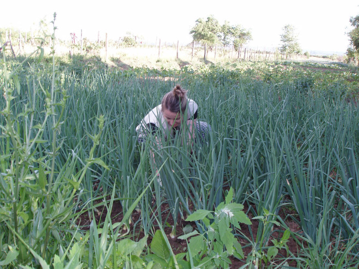 Tg Jiu 2009  iunie gradina Esterei e; Estera si gradina nostra din Tg Jiu 2009 - un an binecuvantat, cu multa recolta, de Dumnezeu!
