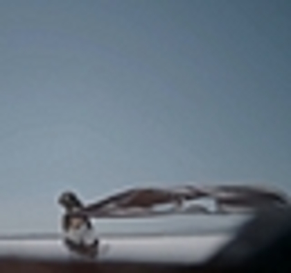 thumb_DLDCOM_0894