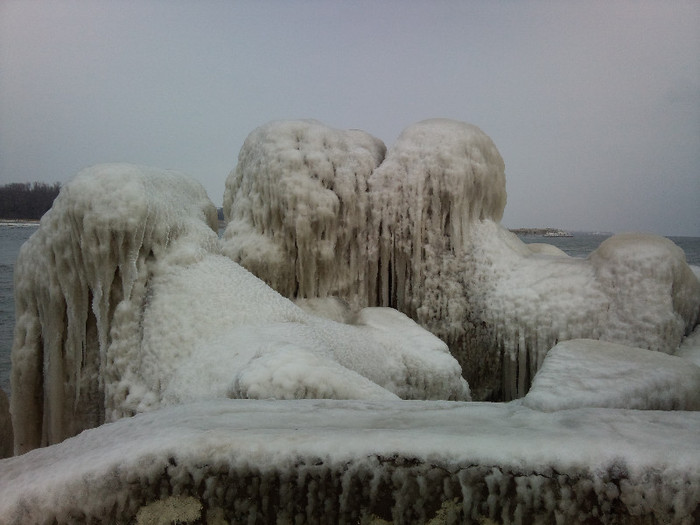 Photo669 - Marea la Neptun 2-02-2012