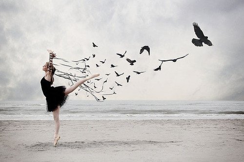 ballet,bird,black,dancing,art,birds-7bc94c5ef73437ab15f9017422b5cc67_h