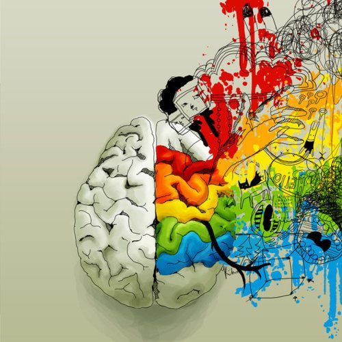 brain1