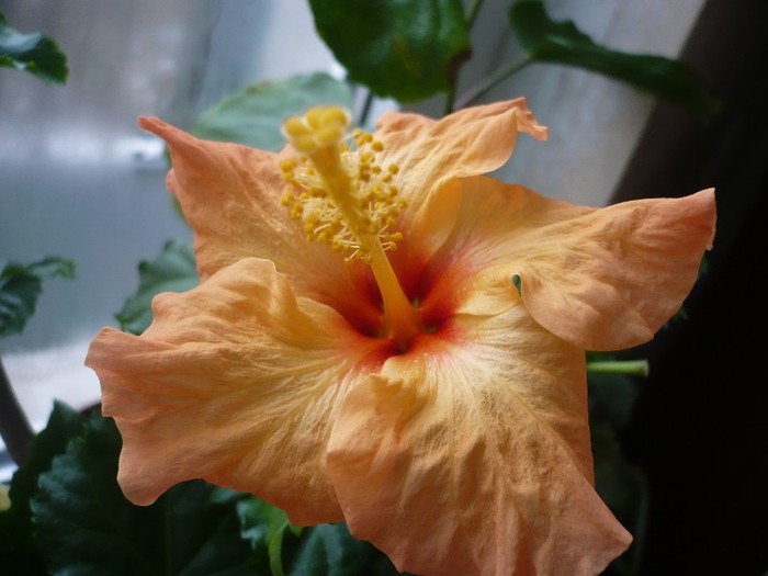 P1110555