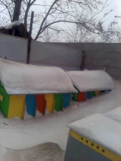 iarna romaneasca febr 2012