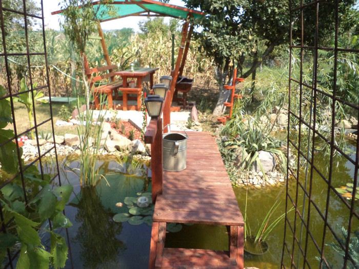 DSC00933 - IAZ deliu