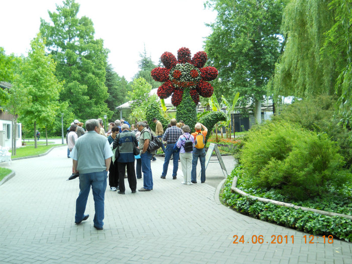 135 - INSULA MAINAU- INSULA FLORILOR