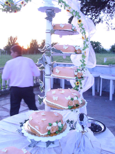poze nunta cristi 099 - NUNTI tort nunta