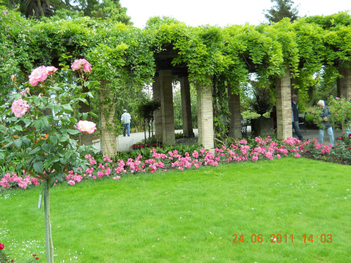 216 - INSULA MAINAU- INSULA FLORILOR