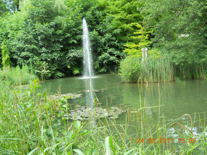 249 - INSULA MAINAU- INSULA FLORILOR