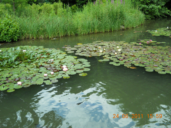 258 - INSULA MAINAU- INSULA FLORILOR