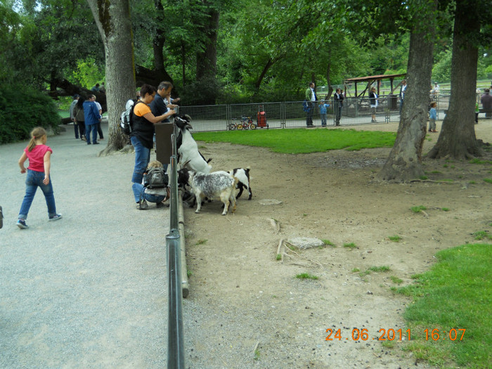 264 - INSULA MAINAU- INSULA FLORILOR