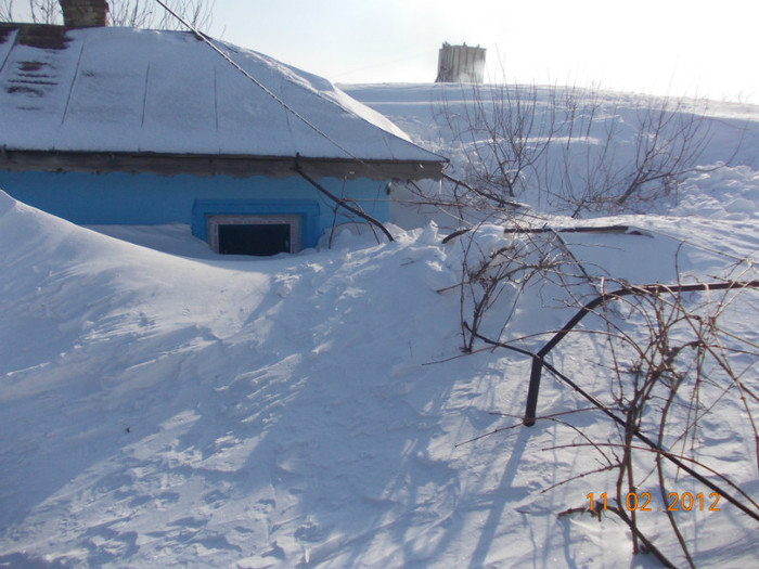 Picture1 002 - zapezile de alta data- iarna2011- 2012