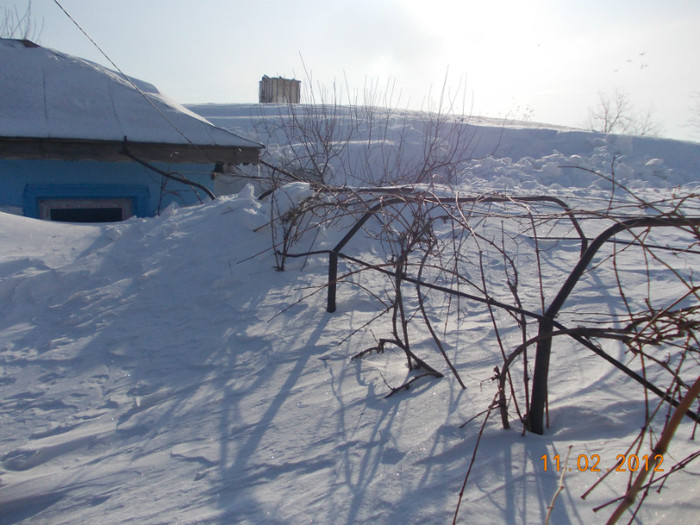 Picture1 003 - zapezile de alta data- iarna2011- 2012