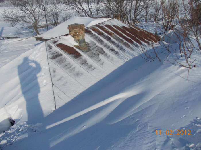 Picture1 009 - zapezile de alta data- iarna2011- 2012