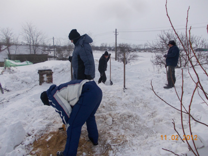 Picture1 015 - zapezile de alta data- iarna2011- 2012