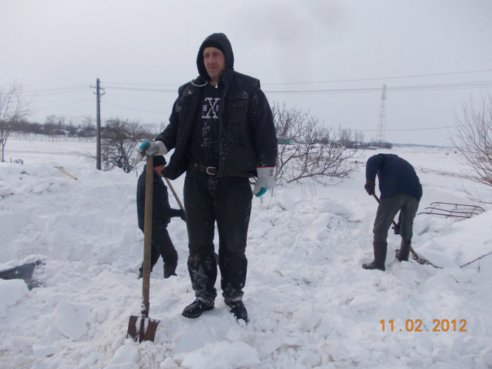 Picture1 024 - zapezile de alta data- iarna2011- 2012