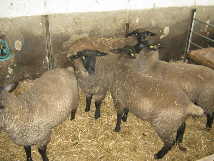 rezervate pentru noi fermieri