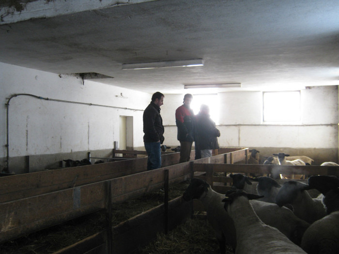 vizita din Romania -invatam