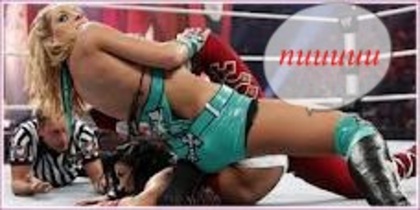 images (4) - melina vs michelle