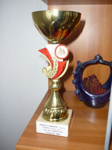 locul 2 VITEZA MATURI club 2009 - rezultate