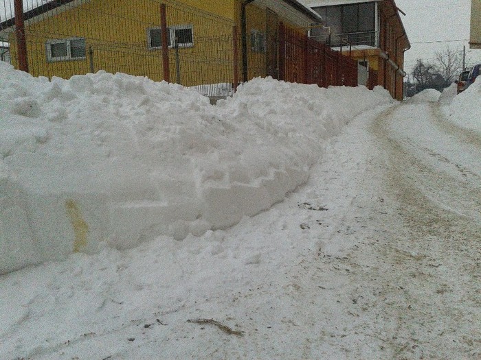 C360_2012-02-12-16-56-31 - iasi - iarna2012