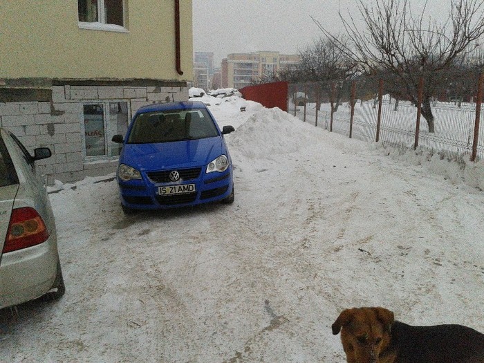 C360_2012-02-12-16-56-53 - iasi - iarna2012