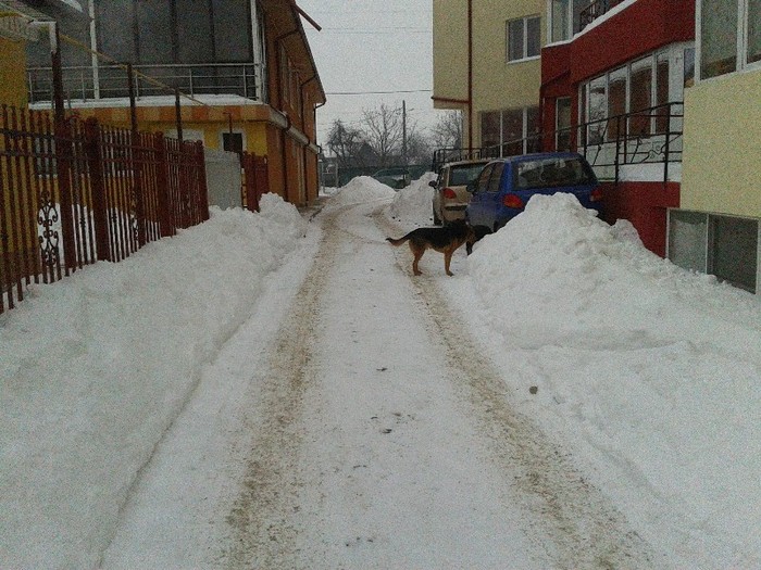 C360_2012-02-12-16-57-15 - iasi - iarna2012