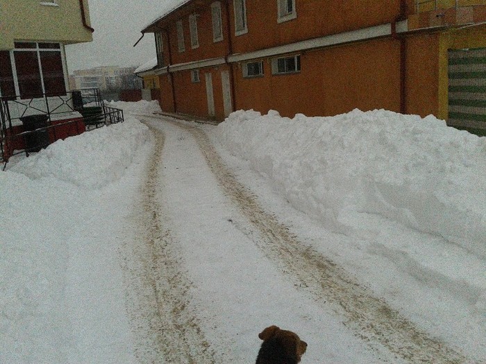 C360_2012-02-12-16-59-16 - iasi - iarna2012