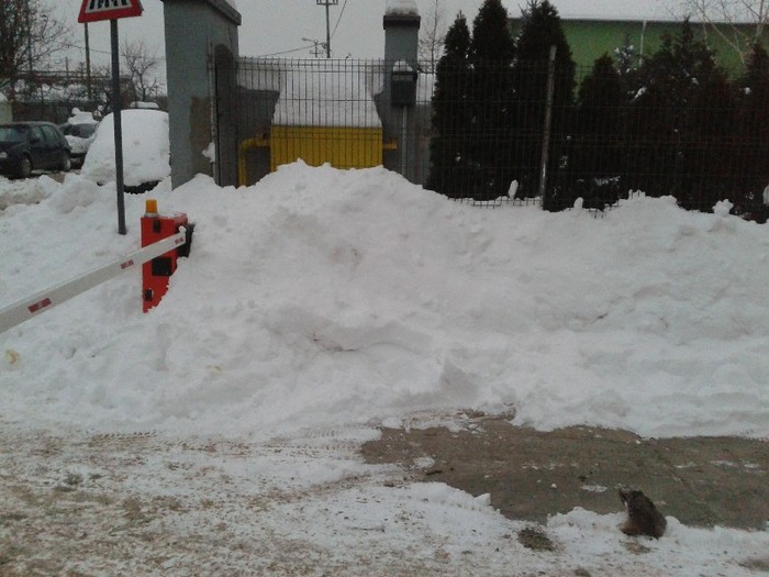 C360_2012-02-12-17-07-07 - iasi - iarna2012