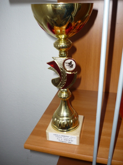 locul 1 VITEZA MATURI club 2009 - rezultate
