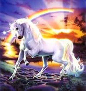 unicorn; unicorn
