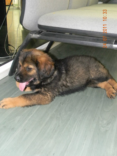 DSCN1525 - Ra si Thor