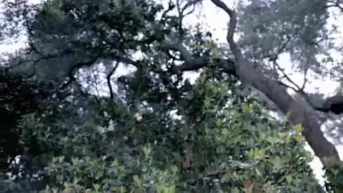 Demi Lovato - Gift Of A Friend - Official Music Video 139 Demi Lovato - Gift Of A Friend - Official Music Video 139