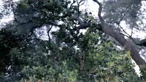 Demi Lovato - Gift Of A Friend - Official Music Video 140 Demi Lovato - Gift Of A Friend - Official Music Video 140